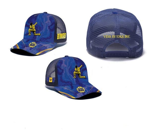 Image 4